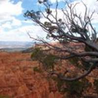 Bryce Canyon Photos