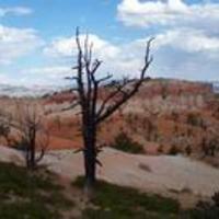 Bryce Canyon Photos